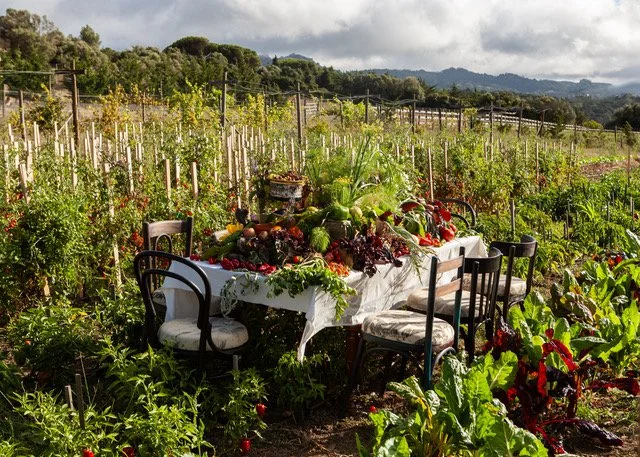 Design Intentions: How Quinta da Bufala’s Collection Shapes our Culture and Heritage.