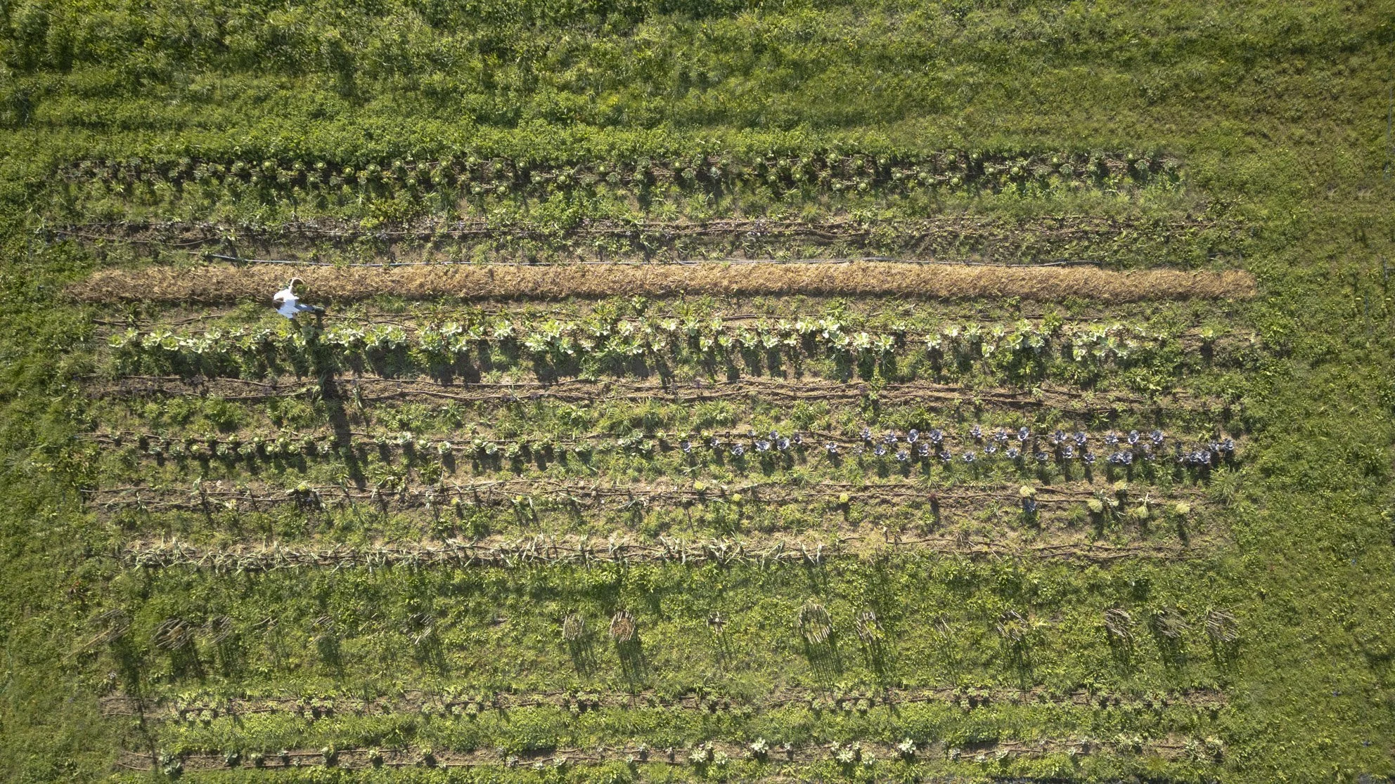 RB_20240220_0029-Edit.jpg